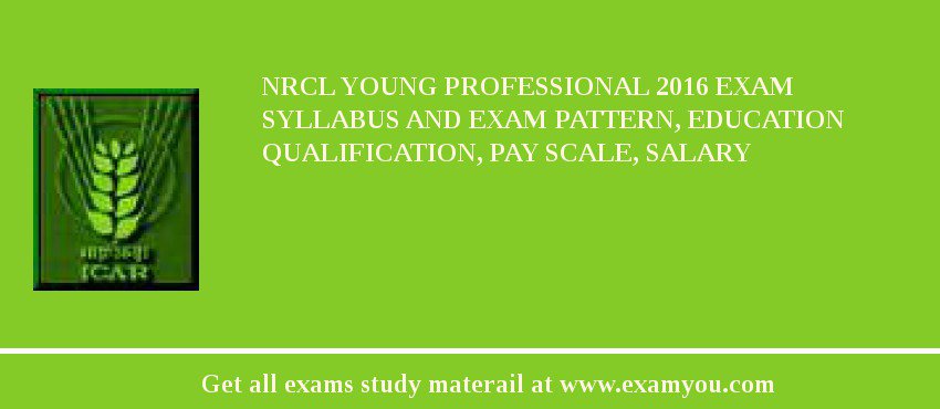 NRCL Young Professional 2018 Exam Syllabus And Exam Pattern, Education Qualification, Pay scale, Salary