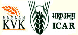 Krishi Vigyan Kendra Ratlam (KVK Ratlam) July 2017 Job  for Senior Scientist & Head 