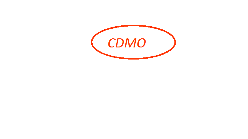 Chief District Medical Officer(CDMO)2018