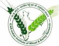 Indian Institute of Wheat & Barley Research (IIWBR)2018