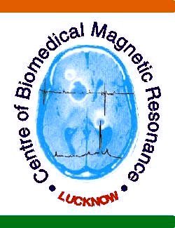 Center of Biomedical Magnetic Resonance2018