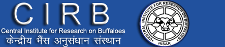 Central Institute for Research on Buffaloes Senior Technical Officer 2018 Exam