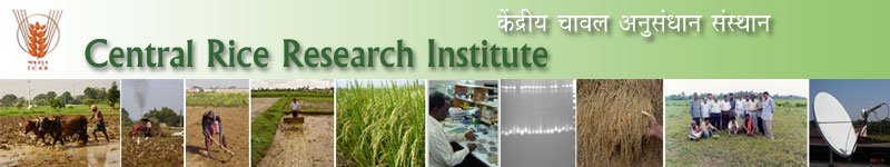 Central Rice Research Institute Agricultural Field Operator 2018 Exam