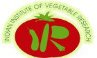 Indian Institute of Vegetable Research Research Associate 2018 Exam
