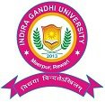 Indira Gandhi University Professor 2018 Exam