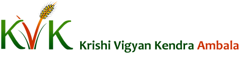 Krishi Vigyan Kendra Ambala2018