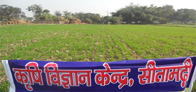 Krishi Vigyan Kendra Sitamarhi2018