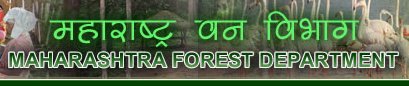 Maharashtra Forest Department GIS Co-ordinator -3 2018 Exam