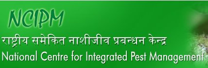 Walk-in-Interview June 2016 for Senior Research Fellow at National Centre for Integrated Pest Management (NCIPM), New Delhi