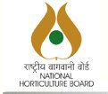National Horticulture Board (NHB) November 2017 Job  for Deputy Director 