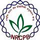 National Research Centre on Plant Biotechnology (NRCPB) February 2016 Job  For Technical Assistant