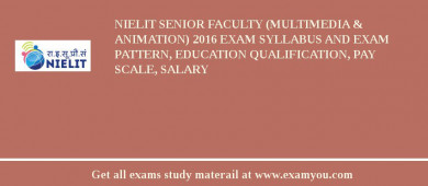 NIELIT Senior Faculty (Multimedia & Animation) 2018 Exam Syllabus And Exam Pattern, Education Qualification, Pay scale, Salary